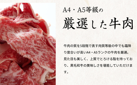 熊野牛A4以上シャトーブリアン約200g＆赤身こま切れ約300g【Z91051-uot745】