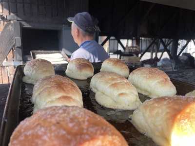 メロンパン 塩メロンパン 10個セット 国産メロンパン 宇城市産メロンパン 人気メロンパン メロンパン パン 菓子パン スイーツ おやつ 朝食 軽食 冷凍 詰め合わせ 熊本県 宇城市