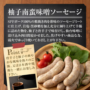 国産SPFポーク使用！熟成完全無添加ソーセージ 柚子南蛮味噌 500g (100g×5パック) 手作り 粗挽き あらびき 豚肉 肉 加工品 小分け 冷蔵 おつまみ シャルキュトリ【有限会社コブレンツ】ta372