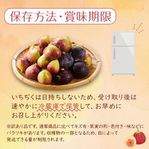 【尾道特産・秋の味覚！しまのいちぢく（訳あり品）】瀬戸内・因島の蓬莱柿（ほうらいし）約320g×5パック【9月より配送】