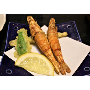 【23003】鳥取網代港 ≪幻のエビ≫朝獲れ！活モサエビ【さかなや新鮮組】発送は2026年2月～