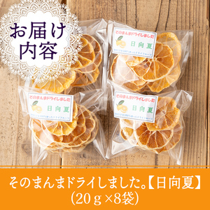 isa566 ドライフルーツ日向夏「そのまんまドライしました。」(計8袋・各20g) ドライフルーツ 日向夏 砂糖不使用 小分け 手づくり ギフト 加工食品 果物 フルーツ ハンドメイド ギフト【薩摩美食倶楽部】