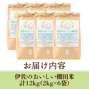 isa558 令和7年産 伊佐のおいしい棚田米 ヒノヒカリ(計12kg・2kg×6袋) 国産 白米 精米 伊佐米 2kg お米 米 ごはん ご飯 ひのひかり 【薩摩美食倶楽部】