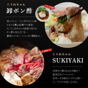 佐賀牛切り落としコウネちゃん300ｇ 161-J786