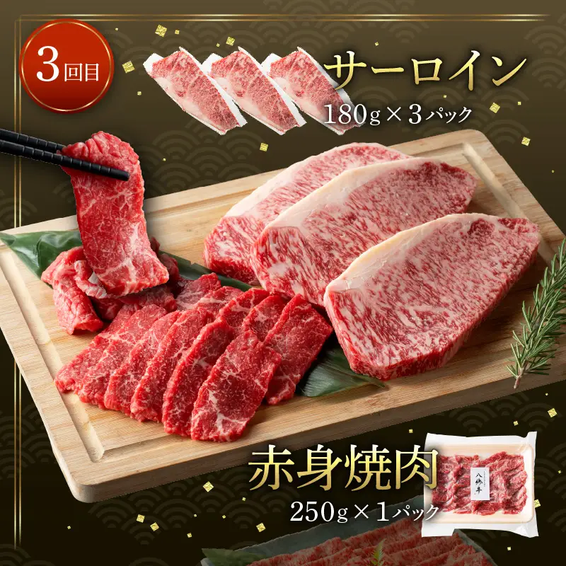【全3回】【宮崎県創業40年 平家の郷】宮崎県産黒毛和牛定期便 焼肉 ステーキ ハンバーグ