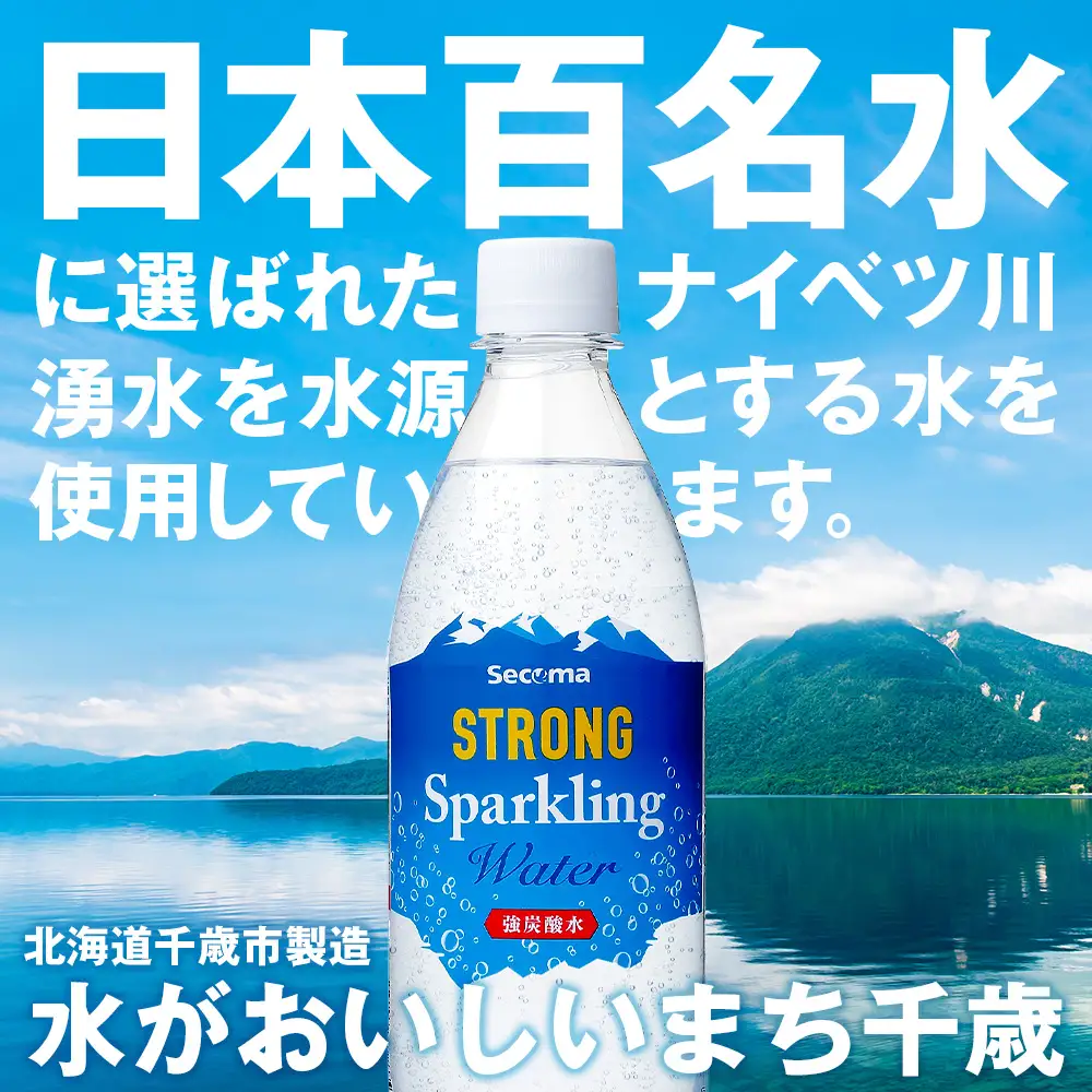 【定期便12ヵ月】セコマ 強炭酸水 500ml 24本 1ケース 北海道 千歳製造
