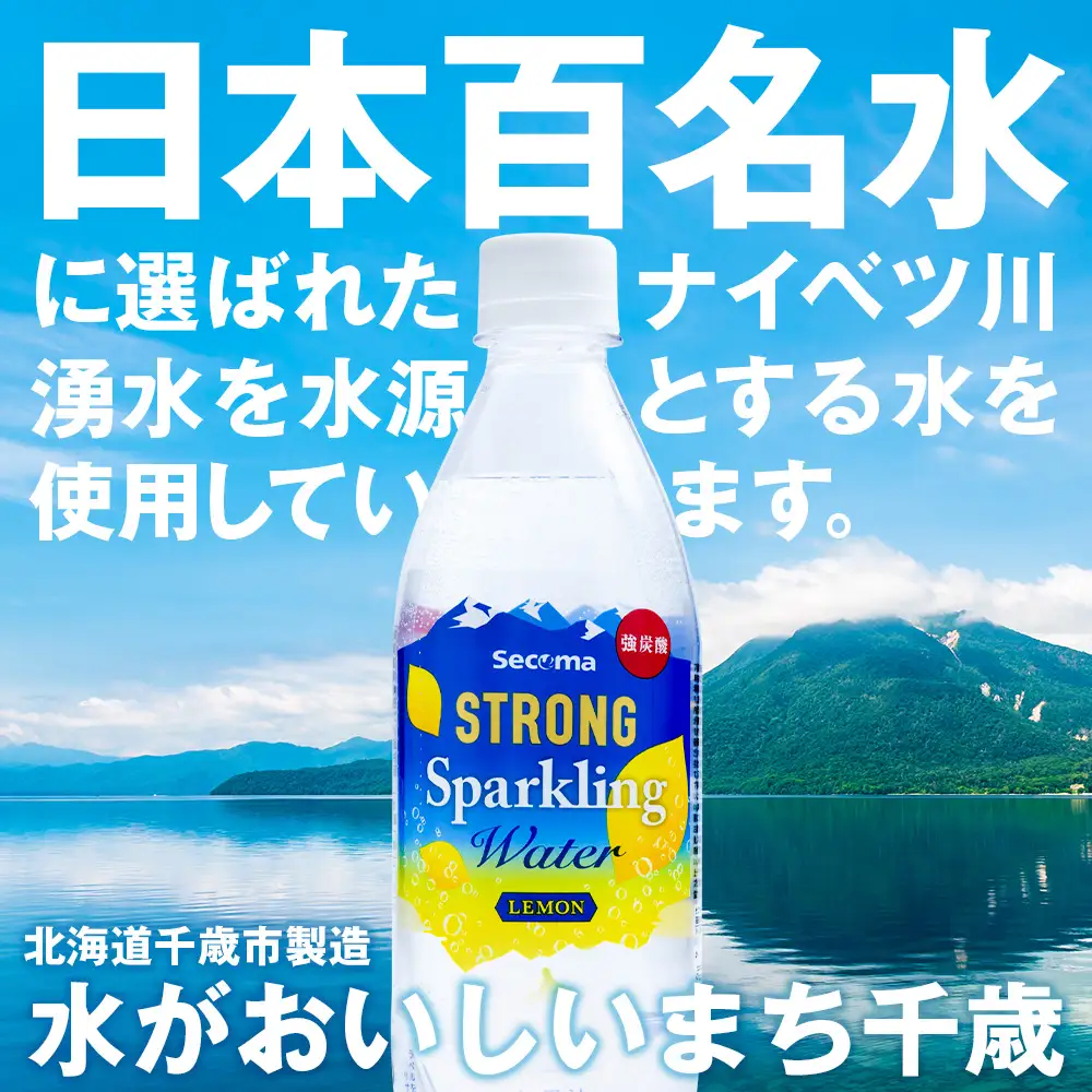 【定期便12ヵ月】セコマ レモン 強炭酸水 500ml 24本 1ケース 北海道 千歳製造