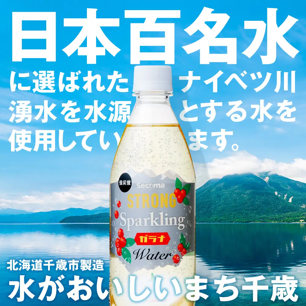 【定期便12ヵ月】セコマ ガラナ 強炭酸水 500ml 24本 1ケース 北海道 千歳製造