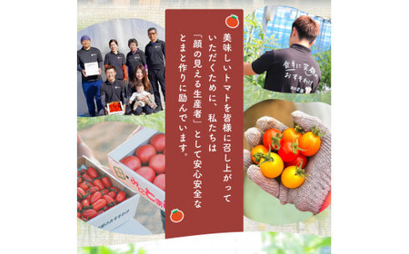 ミニトマト生産量 日本一 玉名市 !！ 「 トマ・ランタン 」 約 2kg | ミニトマト トマト 熊本県 玉名市