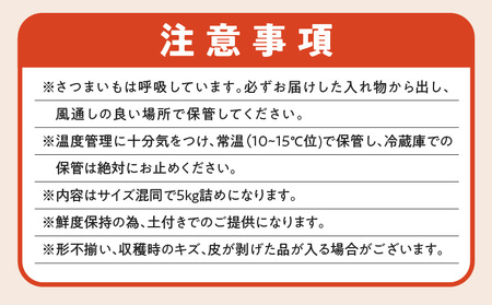 サイズバラバラ熟成べにはるか（生芋）土付き 5kg K270-001