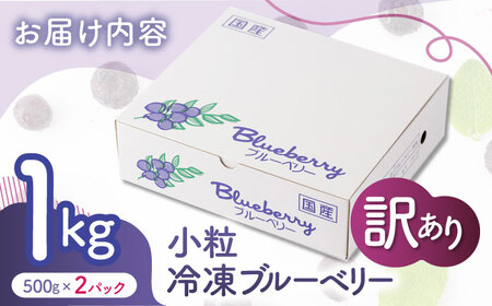 【先行予約】【訳あり】 冷凍ブルーベリー 小粒 約1kg（約500g×2pc） 【すみれファーム】[ZEP045]
