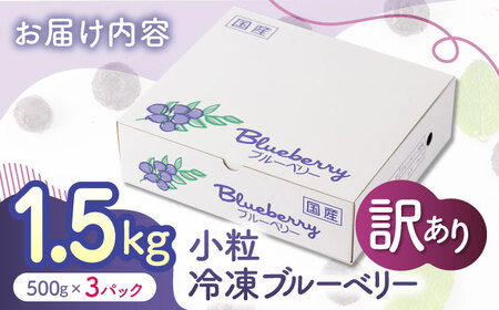 【先行予約】【訳あり】 冷凍ブルーベリー 小粒 約1.5kg（約500g×3pc） 【すみれファーム】[ZEP046]