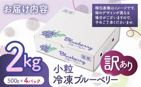 【先行予約】【訳あり】 冷凍ブルーベリー 小粒 約2kg（約500g×4pc） 【すみれファーム】[ZEP047]