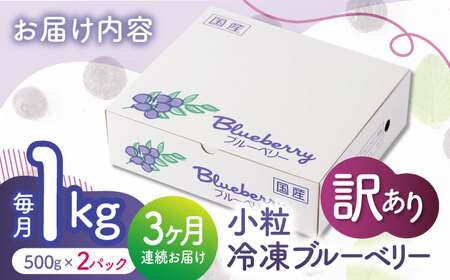 先行予約 【3回定期便】【訳あり】 冷凍ブルーベリー 小粒 約1kg（約500g×2pc） 【すみれファーム】[ZEP048]