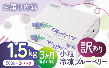 先行予約 【3回定期便】【訳あり】 冷凍ブルーベリー 小粒 約1.5kg（約500g×3pc） 【すみれファーム】[ZEP049]