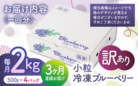 先行予約 【3回定期便】【訳あり】 冷凍ブルーベリー 小粒 約2kg（約500g×4pc） 【すみれファーム】[ZEP050]