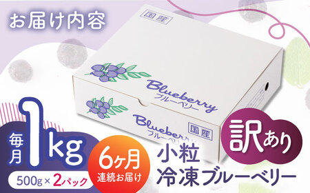 先行予約 【6回定期便】【訳あり】 冷凍ブルーベリー 小粒 約1kg（約500g×2pc） 【すみれファーム】[ZEP051]