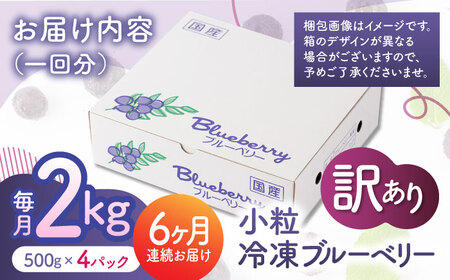 先行予約 【6回定期便】【訳あり】 冷凍ブルーベリー 小粒 約2kg（約500g×4pc） 【すみれファーム】[ZEP053]