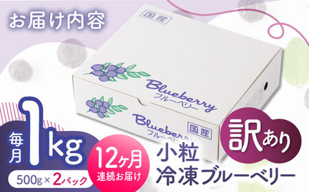 先行予約 【12回定期便】【訳あり】 冷凍ブルーベリー 小粒 約1kg（約500g×2pc） 【すみれファーム】[ZEP054]
