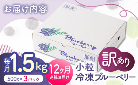 先行予約 【12回定期便】【訳あり】 冷凍ブルーベリー 小粒 約1.5kg（約500g×3pc） 【すみれファーム】[ZEP055]
