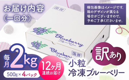 先行予約 【12回定期便】【訳あり】 冷凍ブルーベリー 小粒 約2kg（約500g×4pc） 【すみれファーム】[ZEP056]