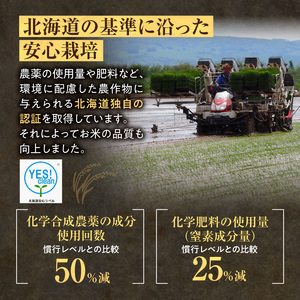 《令和7年産》ななつぼし5kg 30日以内発送 | ななつぼし 北海道