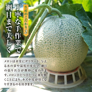  北海道産 暑寒メロン 2玉 3.2kg以上 × 1箱 2026年7月発送  メロン メロン 青肉メロン 北海道産メロン