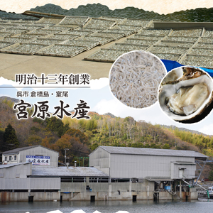 宮原水産 倉橋かえり 1kg カタクチイワシ 煮干し 魚介 魚介類 海鮮 海産物 おやつ 肴 カルシウム お取り寄せ 送料無料 国産 広島産 日本 広島県 呉市 ku005-017-r