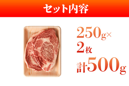 博多和牛サーロインステーキ 500g（250g×2） 黒毛和牛 お取り寄せグルメ お取り寄せ 福岡 お土産 九州 福岡土産 取り寄せ グルメ 福岡県