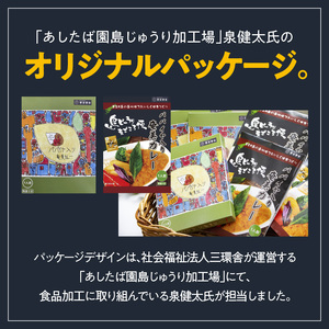 パパイヤ入り奄美カレー 5袋 A003-008 鹿児島 奄美市 奄美大島 レトルトカレー チキンカレー 島ウコン 青パパイヤ入り 島料理 島じゅうりまごころ便パッケージ 湯せん 加熱