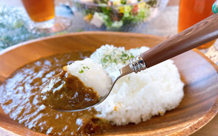 よこすか海軍カレー 1人前200g×10個セット 2kg   かれー レトルト 国産 ギフト 自宅用 横須賀【有限会社たのし屋本舗】 [AKAE022]