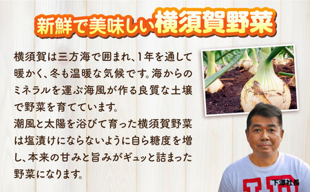 横須賀野菜ドレッシング特濃たまねぎ 400ml×2本 アンチョビガーリックマヨネーズ  調味料 贈り物 ギフトお土産 お歳暮 横須賀【有限会社たのし屋本舗】 [AKAE030]