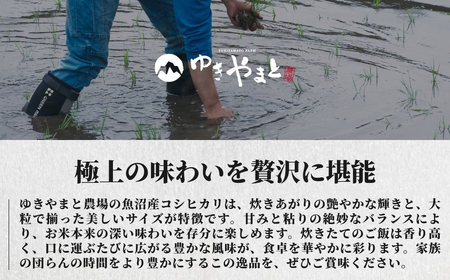 令和8年産先行予約 魚沼産コシヒカリ ゆきやまと 5kg×1袋 特別栽培 | 津南町 魚沼