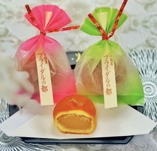 「幸せのまち高砂」名菓詰め合わせ 20個入【 和菓子 和菓子セット 詰め合わせ 贈答品　和スイーツ 兵庫県 高砂市】