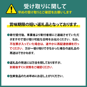 【4月中旬より発送】天然山ウド 山菜 天ぷら 酢味噌 あえ きんぴら 春の味覚 産地直送 国産 新潟県 妙高市