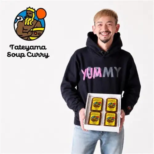 館山スープカレー冷凍パック チキン 甘口4食セット【配送不可地域：離島】【1449783】