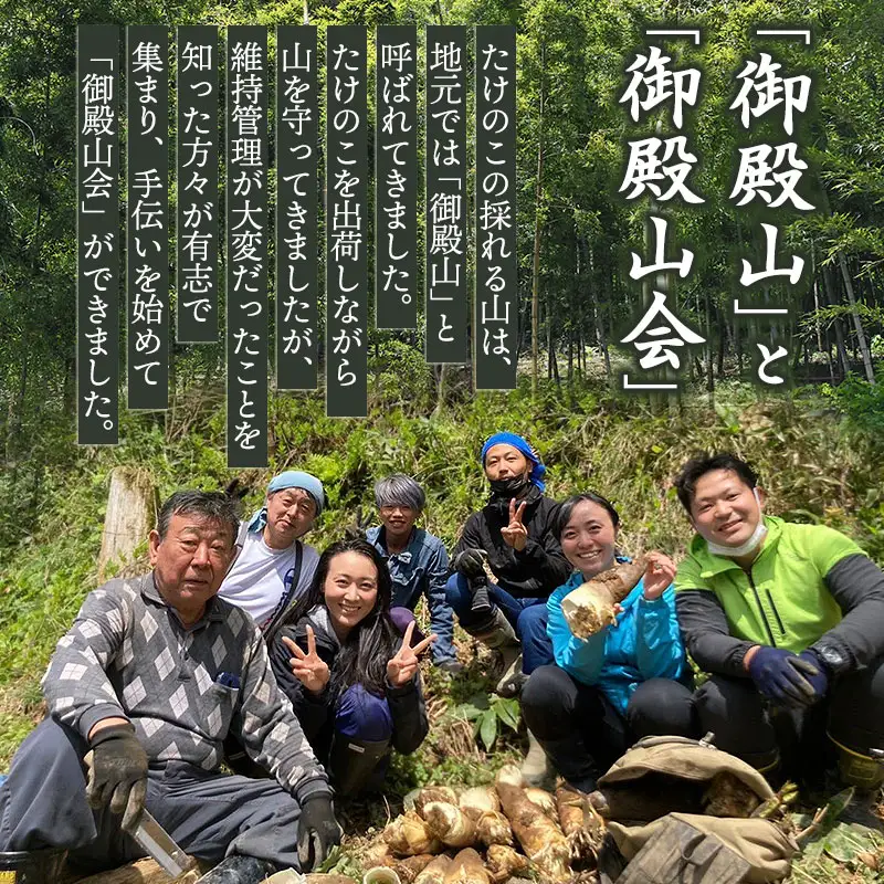 【令和9年産先行予約】庄内の春の味覚　やわらかい朝堀り湯田川孟宗（たけのこ）約2kg　山形県鶴岡市　にこにこふぁーむ　K-956　| 筍 竹の子 新鮮 旬の野菜 産地直送 春野菜 季節限定 国産 人気 おすすめ おいしい お取り寄せ 返礼品