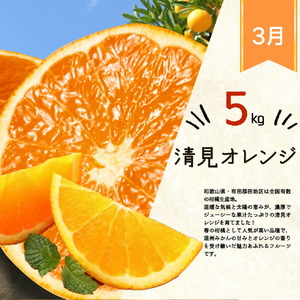 G60-T31_【定期便 全4回】紀州和歌山産旬の柑橘セット（みかん・ポンカン・清見・なつみ）