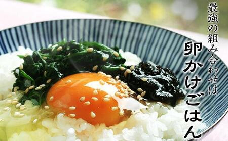 島乃香 希少糖入り小豆島産のりつくだ煮150g×10袋