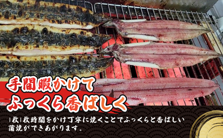 うなぎ蒲焼き170g~180g×3尾河野鮮魚店(蒲焼たれ3袋付)【D038-177004】