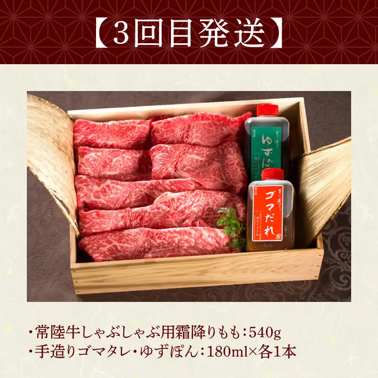 3ヶ月 定期便 常陸牛ハンバーグ 20個 Cコース 無添加 肉のイイジマ（DU-105）
