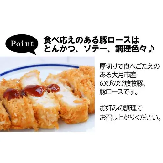 【希少豚】大月のびのび放牧豚【カツ・ステーキ用ロース】600g以上 (約150g×4)【1087-008】