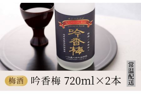 福井県産梅を使用した梅酒　吟香梅(720ml×2本) [A-008063]