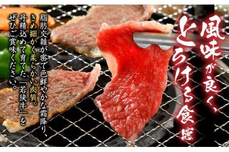 福井県内産若狭牛　やみつき焼肉(300g) [A-012002]