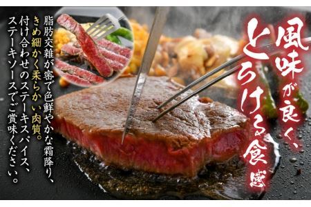 福井県産若狭牛ステーキ(モモ肉)約200g×3枚&すき焼き・しゃぶしゃぶ肉300gセット [B-012007]