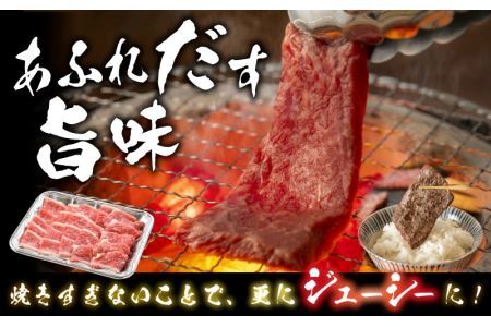 福井県産若狭牛ステーキ(モモ肉)約200g×3枚&やみつき焼肉300gセット [B-012008]
