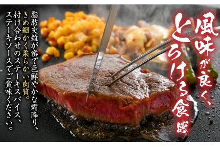 福井県産若狭牛ステーキ(モモ肉)約200g×5枚セット [B-012004]
