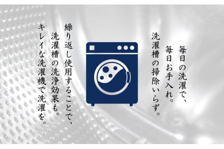 悪臭対策洗剤 悪臭-akushu- 一刀両断 2kg×4本 [C-019011]