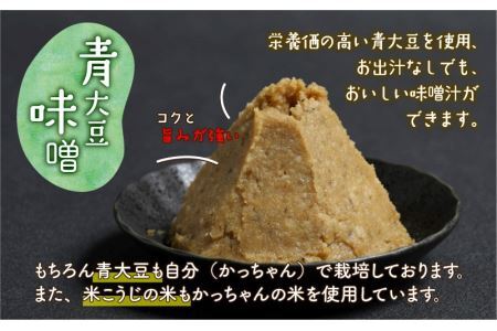 手作り青大豆味噌2袋と季節の野菜5～10種類 [A-020012]