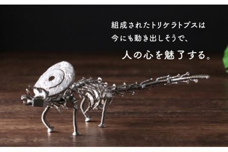オールステンレスネジ恐竜　トリケラトプス(全長250mm) [A-025003]